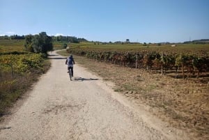 Fra Coimbra: Cykling i Bairrada-vinmarkerne