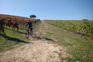 Fra Coimbra: Cykling i Bairrada-vinmarkerne