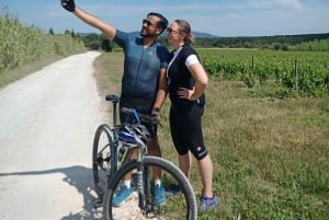 Fra Coimbra: Cykling i Bairrada-vinmarkerne