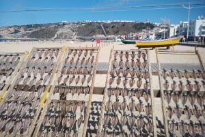 From Coimbra: Fátima Sanctuary, Batalha, Alcobaça and Nazaré