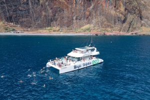 Z Funchal: Ekologiczny katamaran - obserwacja delfinów i wielorybów