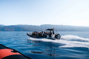 Fra Funchal: Hval- og delfinsafari