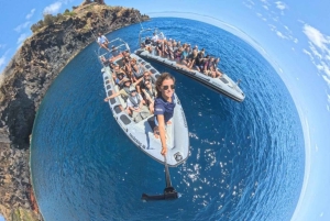 Fra Funchal: Hval- og delfinsafari