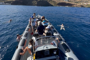 Fra Funchal: Hval- og delfinsafari