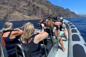 Fra Funchal: Hval- og delfinsafari