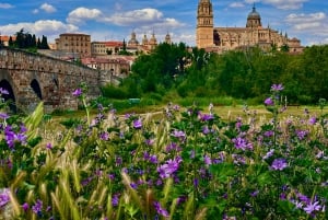 Из Мадрида: Авила и Саламанка — день, посвященный истории и стенам