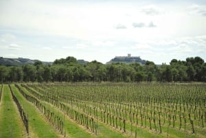 From Madrid: Ribera del Duero Tour of 3 Different Wineries
