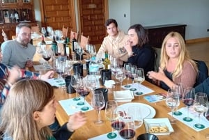Fra Madrid: Ribera del Duero-vintur med lokal frokost