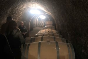 Fra Madrid: Ribera del Duero-vintur med lokal frokost