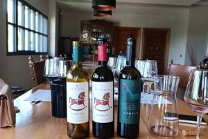 Fra Madrid: Ribera del Duero-vintur med lokal frokost