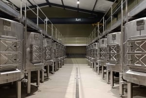 Fra Madrid: Ribera del Duero-vintur med lokal frokost