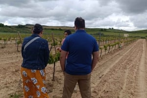 Fra Madrid: Ribera del Duero-vintur med lokal frokost