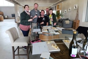 Fra Madrid: Ribera del Duero-vintur med lokal frokost