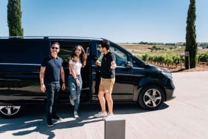 From Madrid: Ribera del Duero Winery and Segovia Tour