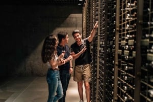 From Madrid: Ribera del Duero Winery and Segovia Tour