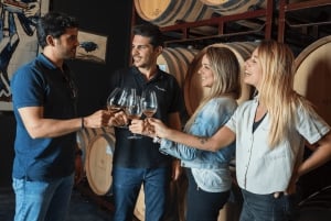 Fra Madrid: Traditionelle landsbyer, vingårdstur og tapas-frokost