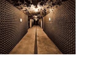 Z Porto: wizyta w winnicach z degustacją wina musującego i lunchem