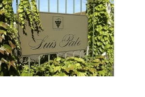 Z Porto: wizyta w winnicach z degustacją wina musującego i lunchem