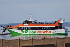 Desde Roses: crucero por la Costa Brava hasta Cadaqués