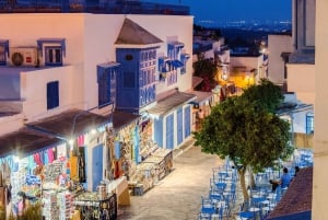 Fra Tunis: Bardo, Tunis Medina, Kartago, Sidi Bousaid