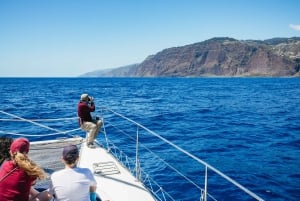 Funchal: Avistamiento de delfines y ballenas en catamarán de lujo