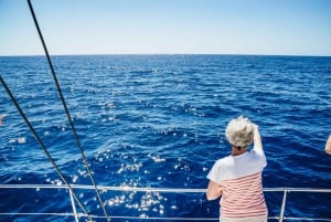 Funchal: Avistamiento de delfines y ballenas en catamarán de lujo