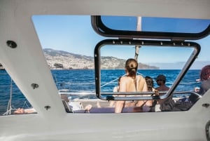 Funchal: Avistamiento de delfines y ballenas en catamarán de lujo