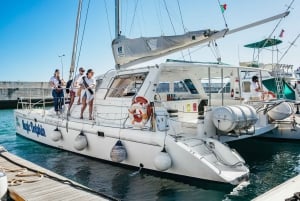 Funchal: Avistamiento de delfines y ballenas en catamarán de lujo