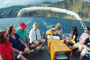 Funchal: Seiltur med delfin- og hvalsafari