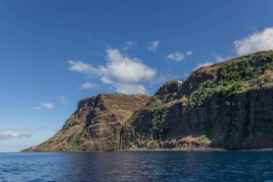 Funchal: Full-Day Fajãs Route Madeira Coastal Tour w/ Lunch
