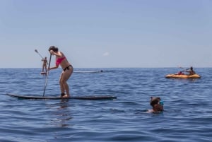 Funchal: Full-Day Fajãs Route Madeira Coastal Tour w/ Lunch