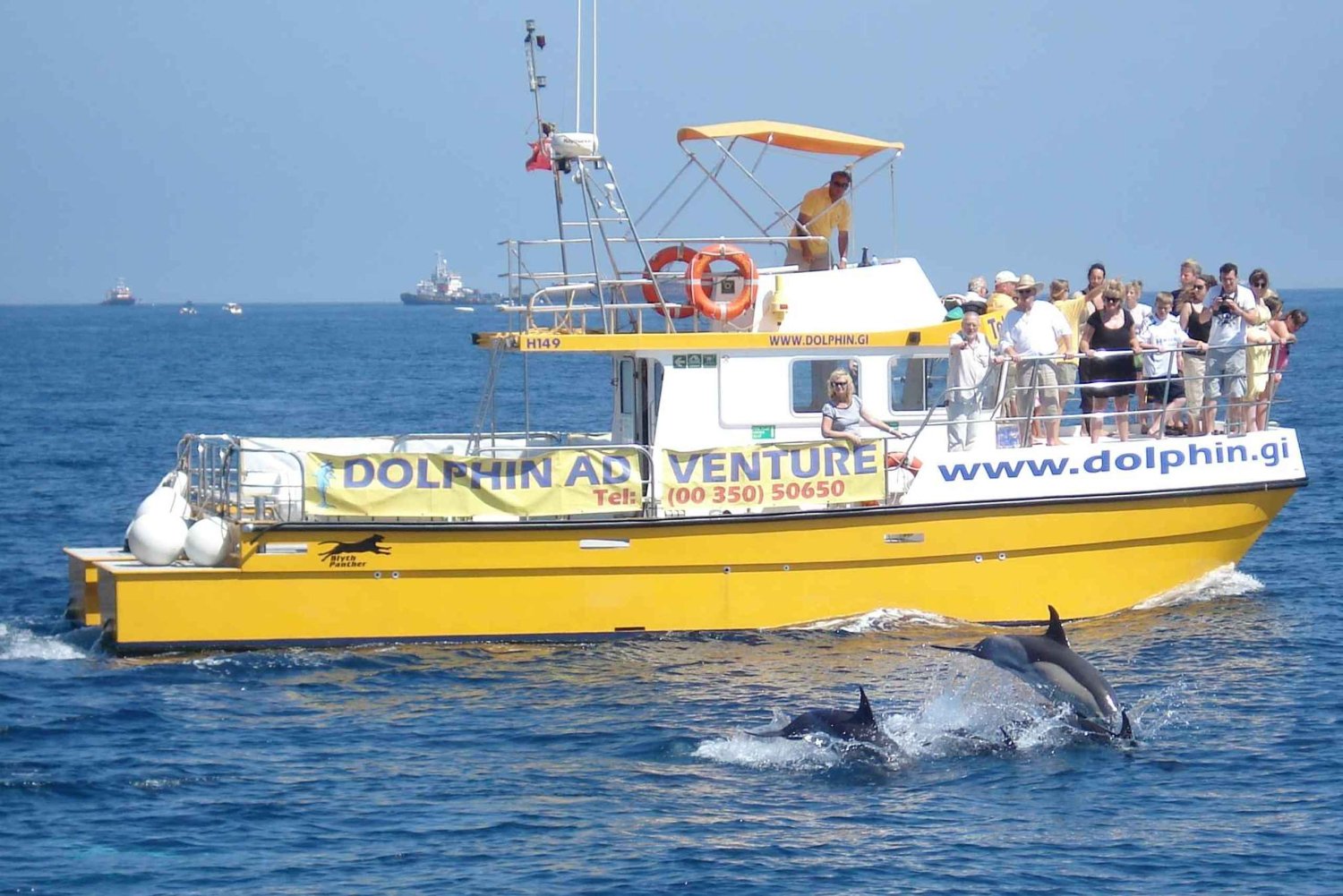 Gibraltar: excursión para avistar delfines