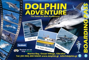 Gibraltar: Delfinsafari