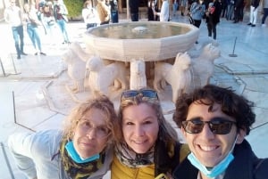 Granada: Alhambra, Alcazaba, and Nasrid Palaces Tour