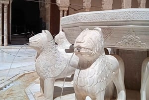 Granada: Alhambra, Alcazaba, and Nasrid Palaces Tour