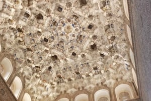 Granada: Alhambra, Alcazaba, and Nasrid Palaces Tour