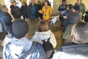 Granada: Alhambra, Alcazaba, and Nasrid Palaces Tour