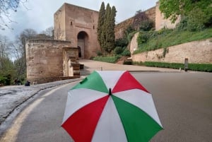 Granada: Alhambra, Alcazaba, and Nasrid Palaces Tour