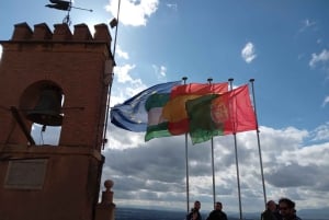 Granada: Alhambra, Alcazaba, and Nasrid Palaces Tour