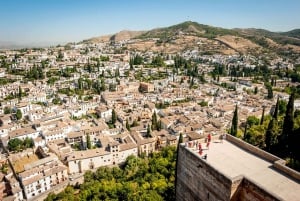 Granada: Alhambra and Nasrid Palaces Entry Ticket