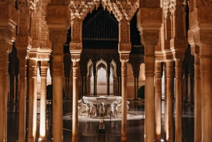 Granada: Alhambra und Nasridenpaläste - Geführte Tour bei Nacht