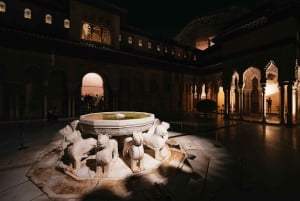 Granada: Alhambra und Nasridenpaläste - Geführte Tour bei Nacht