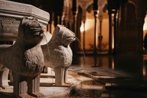 Granada: Alhambra und Nasridenpaläste - Geführte Tour bei Nacht
