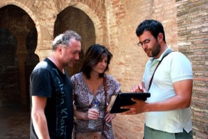 Granada: Privat tur til Alhambra og Nasrid-paladserne