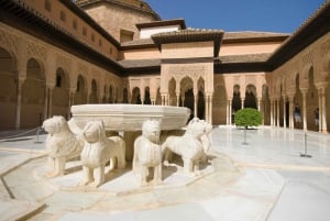 Granada: Privat tur til Alhambra og Nasrid-paladserne