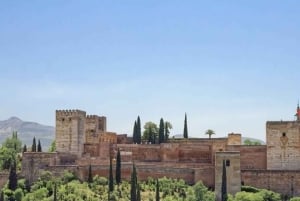 Granada: Tour durch die Alhambra und die Nasridenpaläste ohne Tickets