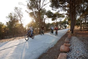 Granada: Vistas de la Alhambra y Sierra Nevada al atardecer en E-Bike