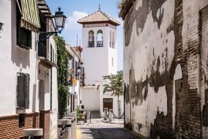 Granada: Alhambra Full Complex & Andalusi Monuments Bilety wstępu