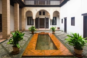 Granada: Alhambra Full Complex & Andalusi Monuments Bilety wstępu