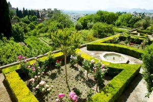 Granada: Alhambra & Gardens Tour w/Nasrid Palaces Option